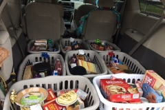 Palatine Township Baskets